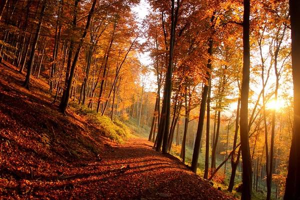 Quelle: pixabay.com, pixabay.com